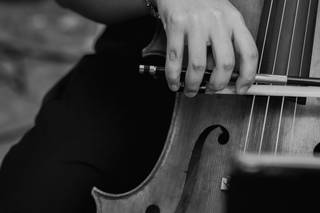 Sonum - 5