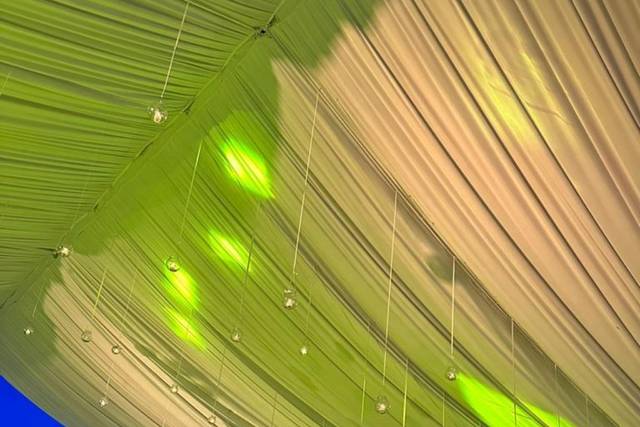 Verde Olista 1