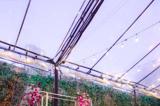 Clhei Floral Styling & Events - 8