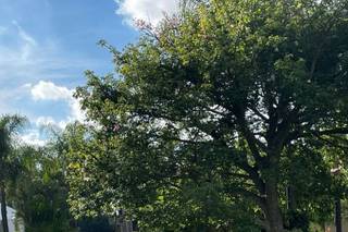 Jardín de Eventos & Hotel La Reunión - 10