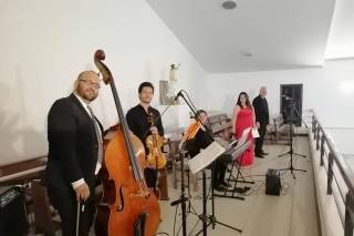 Arsis Producciones - 3