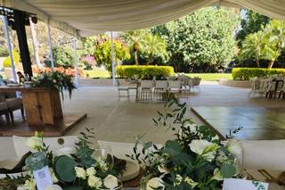 Alesi Weddings - 8