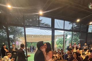 Vinícola del Bosque - 9