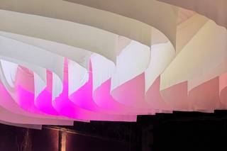 Vinícola del Bosque - 10