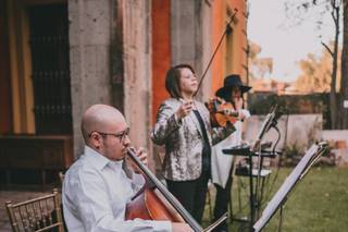 Opus Nuovo Misas - 6