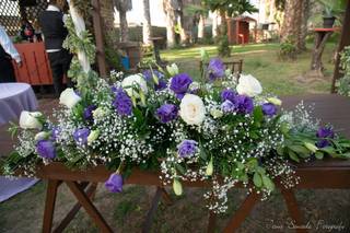 El Paraíso de las Flores - 10