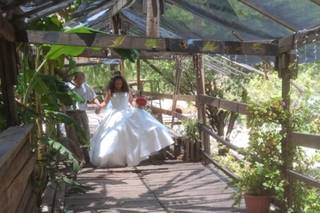 La Cabaña del Profe - 6