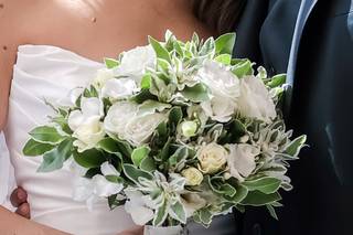 Blooming Dahlia - 13