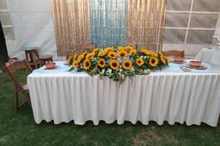 Lexander Florería - 11