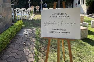 Berenjena Deco - 14