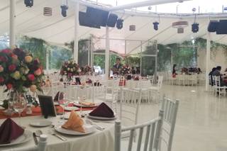 Elegance Nature - 10