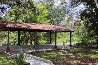 Finca La Candelaria - 7