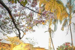 Finca Las Isabeles - 5