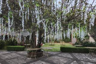 Quinta La Soledad - 27