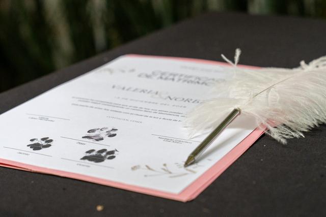 Heart and Soul - Ceremonias espirituales - 1