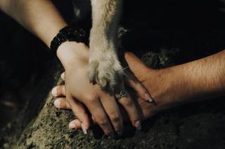 Elvia Photo Life - 6