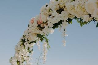 El Paraíso de las Flores - 18