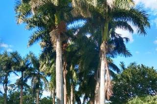 Hacienda Tanil - 8