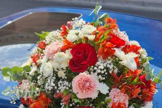 Florerías Plaza - 1