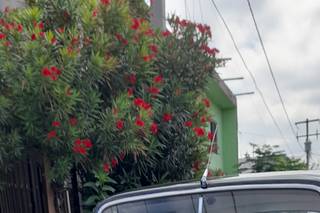 Cantu Rent a Car - 4