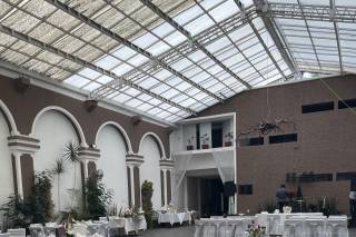 Coralito Jardín - 5