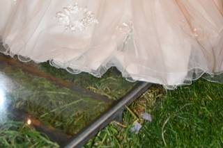 Fotografía A Live - 5