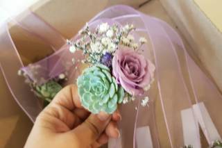 Vinde - Plantas y Artesanías - 11