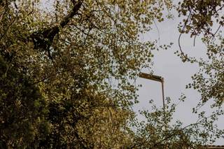 Omar Silva Photography - 10