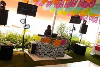 Mas Fiesta - 6