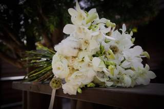 Alana Floral - 1