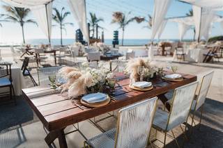 Marina Flowers - 5
