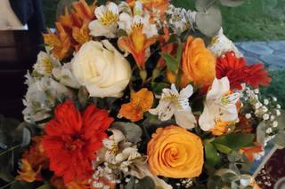 Plaza de las Flores - 6