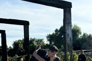 Tierra de Alonso - 9