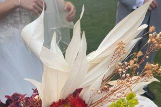 Temporada y Traspatio - 1