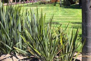 Jardín de Eventos & Hotel La Reunión - 7