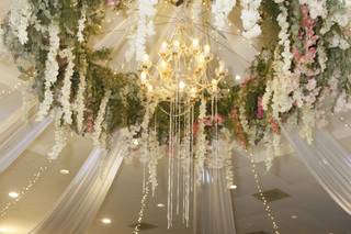 Bellaflor Floristería - 5