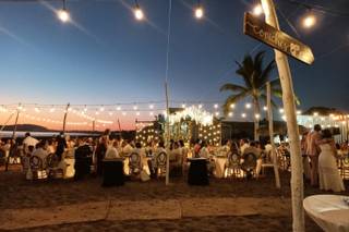 Papillon Making Dreams - 9