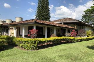 Finca Santa Isabel - 23