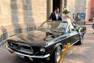 La Belle Époque - 17