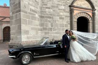 La Belle Époque - 18