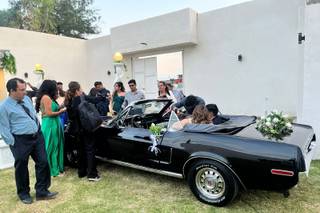 La Belle Époque - 19