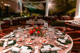 Corazón de Violeta - 5