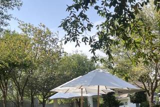 EK Wedding & Events Planner - 7