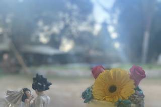 Rancho La Parra - 11