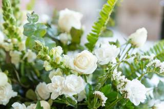 Jardín de Cortés - 6