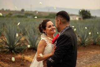 BlackBird Films - 21