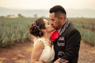 BlackBird Films - 22