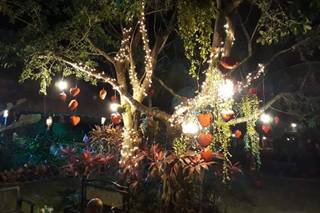 Sueños de Vida - 10