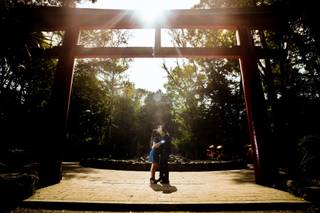 Cynthia Maldonowsky Photography - 7