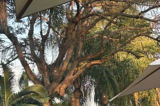 Hacienda el Tular - 9